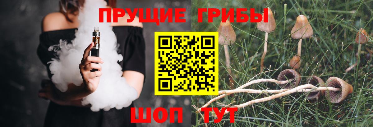 Псилоцибиновые грибы GOLDEN TEACHER Владивосток